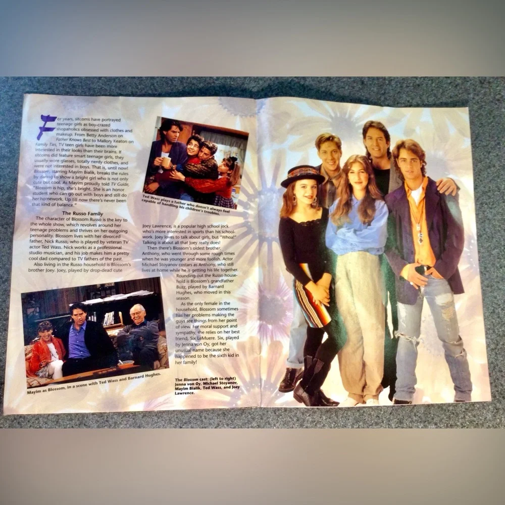 Rare 1993 TV Blossom Mayim BIalik Joey Lawrence Vintage Foldout Publication